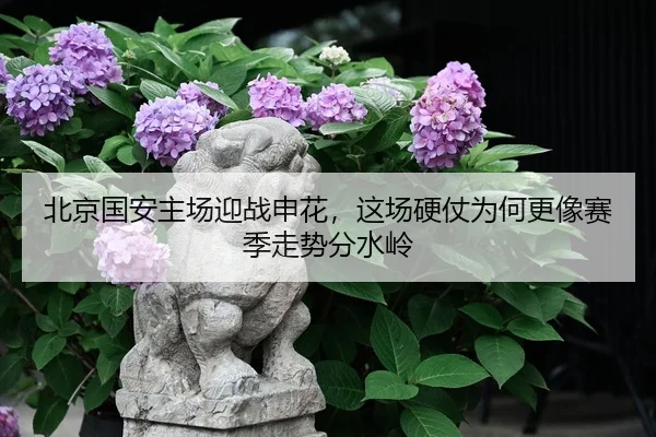 北京国安主场迎战申花，这场硬仗为何更像赛季走势分水岭